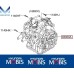 MOBIS TRANSMISSION A4CF1 4-SPEED SET FOR HYUNDAI / KIA 2012-20 MNR